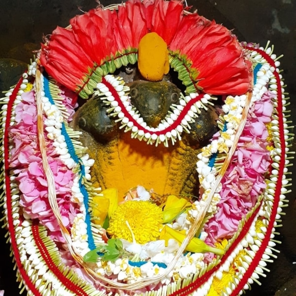 slvt-hosdurg-nagalaya Chathurmasa Vratha 2022